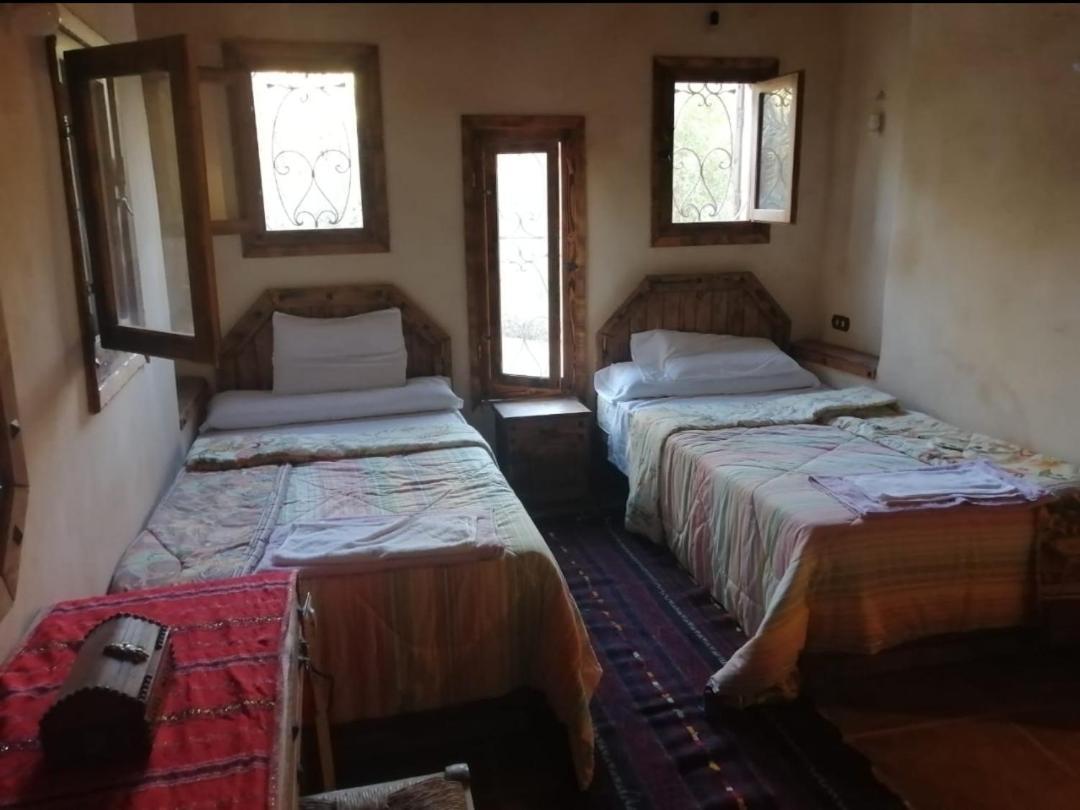 Paloma * Siwa Oasis