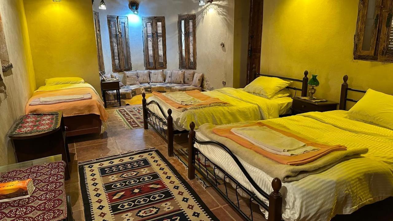 Paloma Siwa Oasis